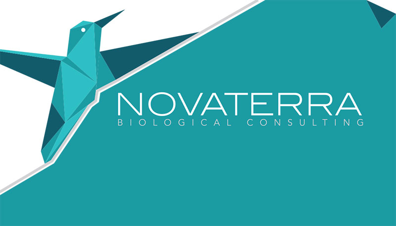 NovaTerra Branding